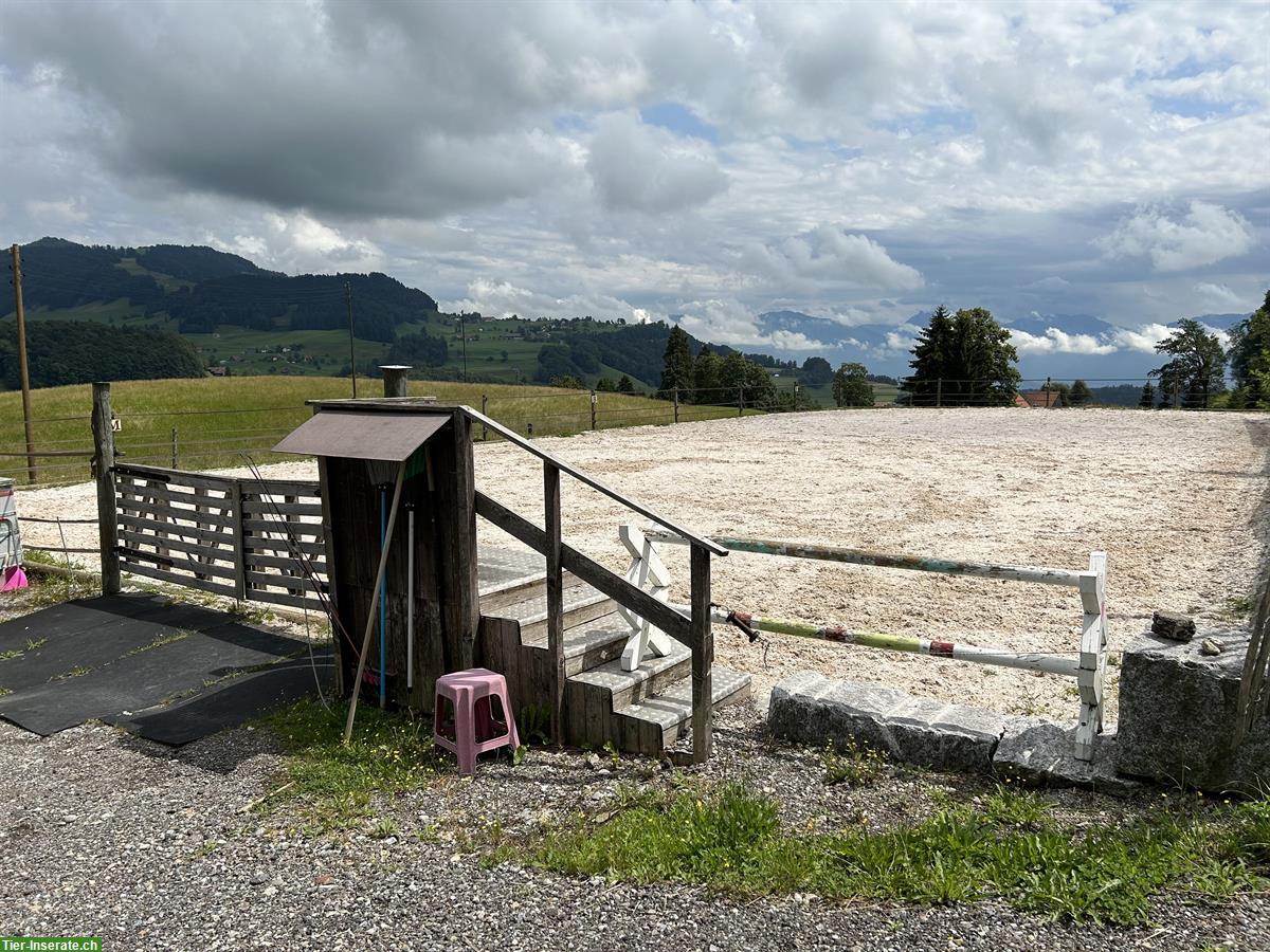 Bild 7: Freie Offenstallplätze auf Bio-Bauernhof in Wald ZH Oberland