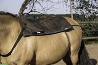 Entspannung & Vitalität für Ihr Pferd! Statische Magnetfeldmatten von biomagnet24®