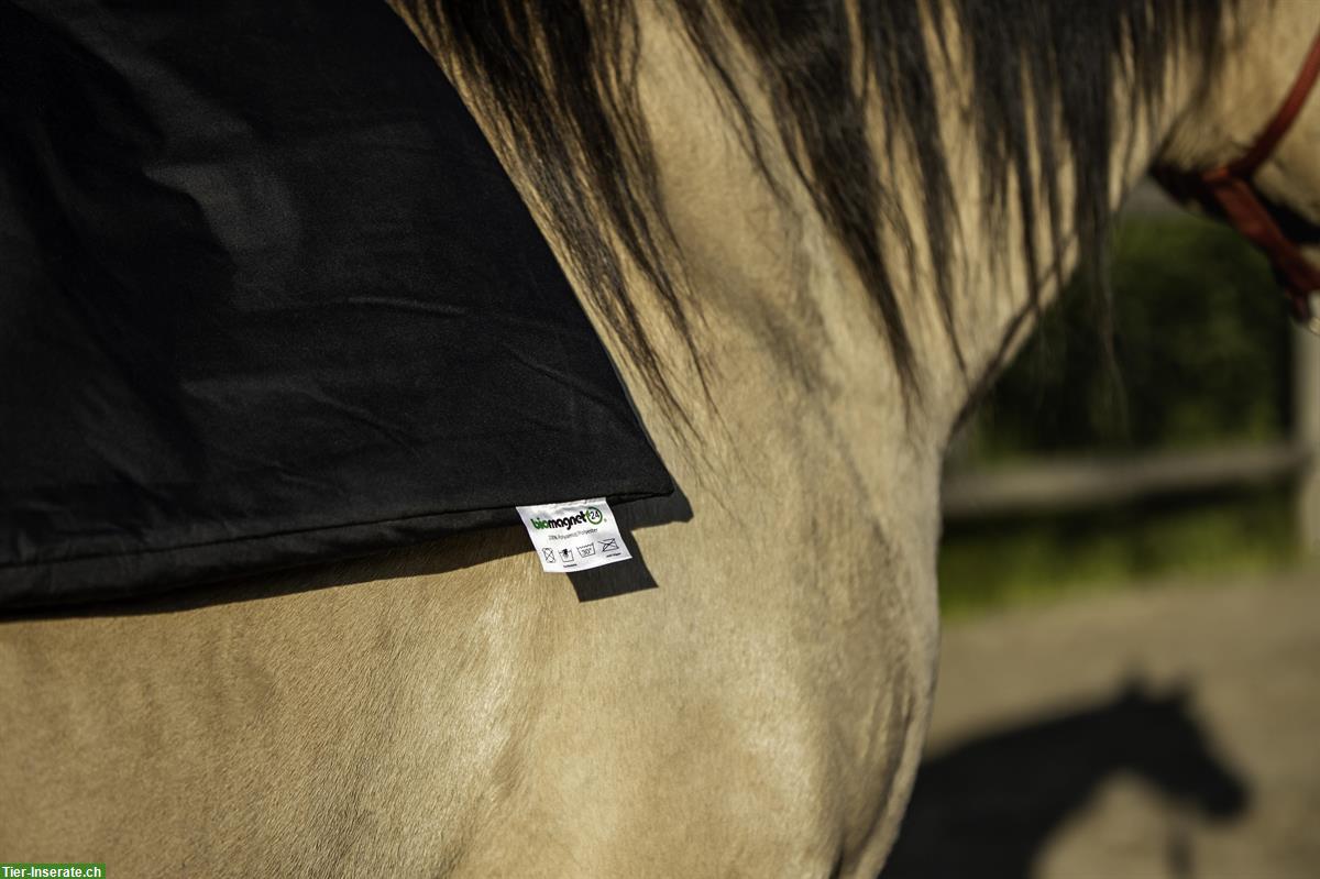 Bild 6: Entspannung & Vitalität für Ihr Pferd! Statische Magnetfeldmatten von biomagnet24®