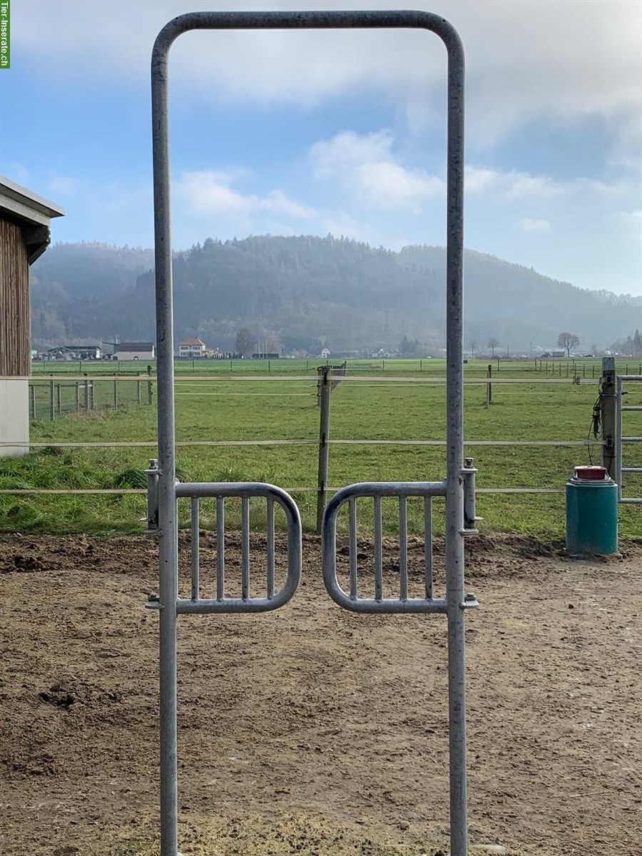 Bild 4: Pferde Duo Futterstation von Schauer zu verkaufen