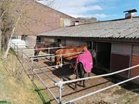 Grosse Pferdeboxen mit Auslauf in Lengnau AG