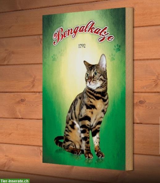Bild 4: NEU: 🐱 Katzenschild Bengal aus Holz