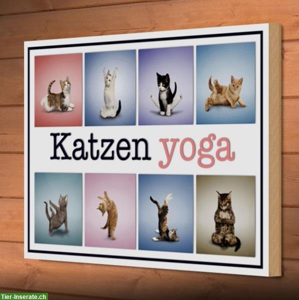 Bild 4: NEU: 🐱 Katzenschild Yoga aus Holz