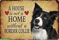 «Ein Haus ist kein Zuhause ohne Border Collie» NEU PORTOFREI gemäss Beschreibung