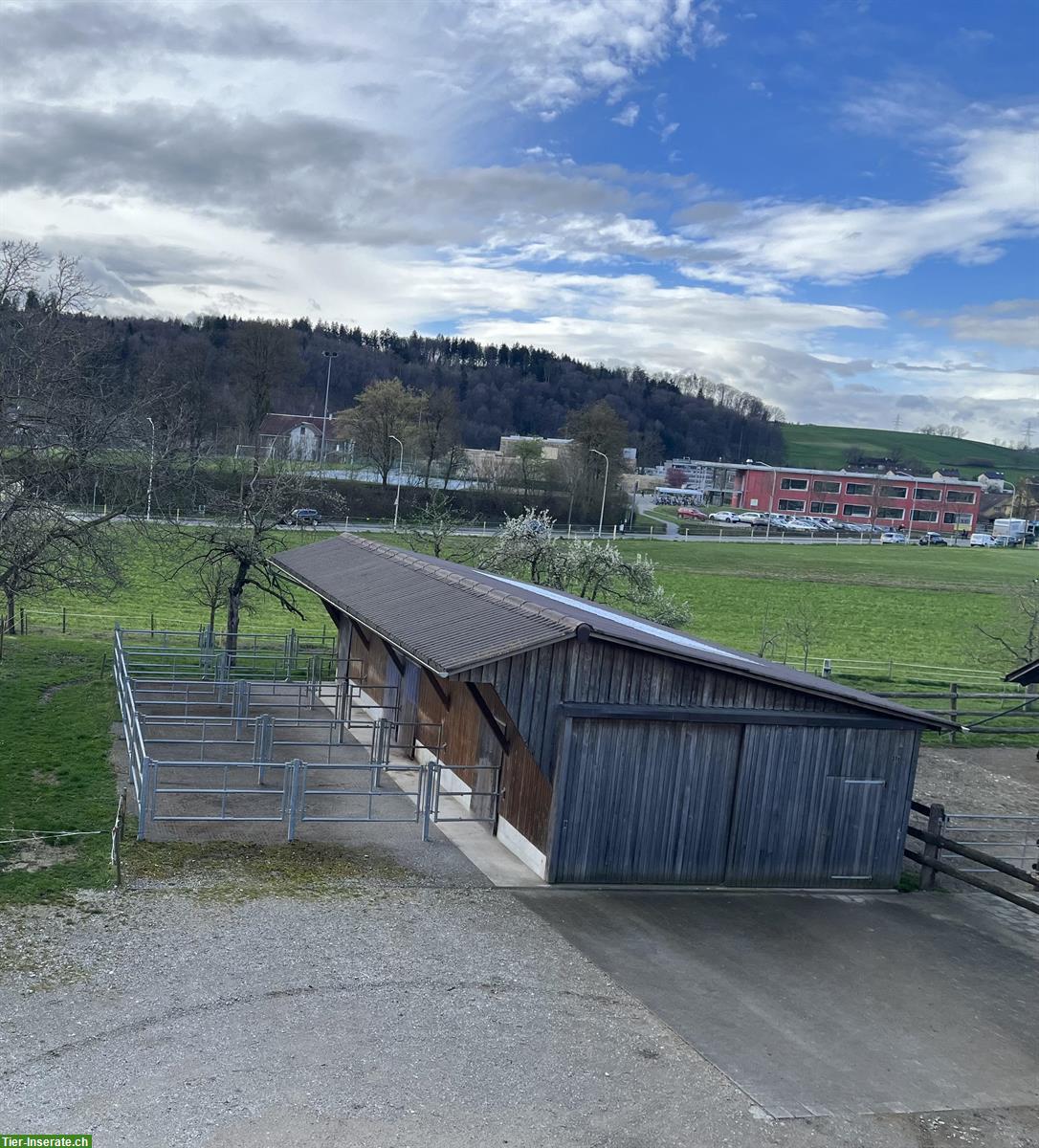 Bild 4: Biete Auslaufboxen in Niederwangen bei Bern