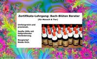 Zertifikats-Lehrgang: Bach-Blüten Berater, Start: 21. September