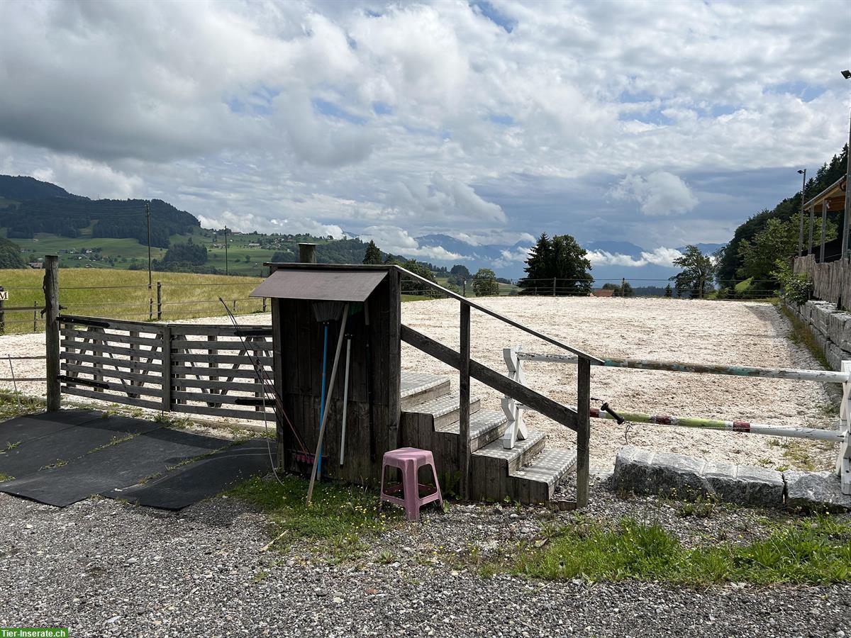 Bild 8: Offenstallplätze frei auf Bio-Bauernhof in Wald ZH