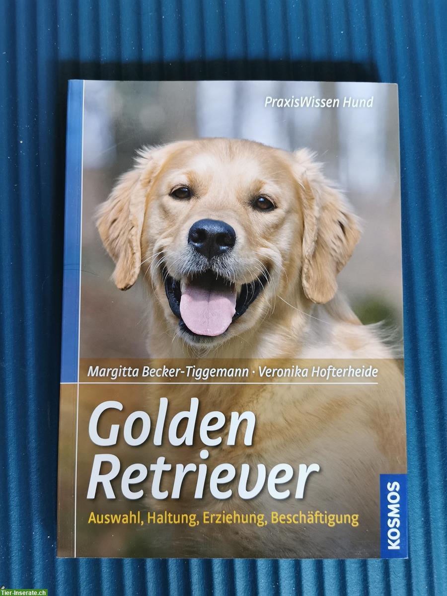 Bild 3: Retriever / Golden Retriever Hundebücher abzugeben