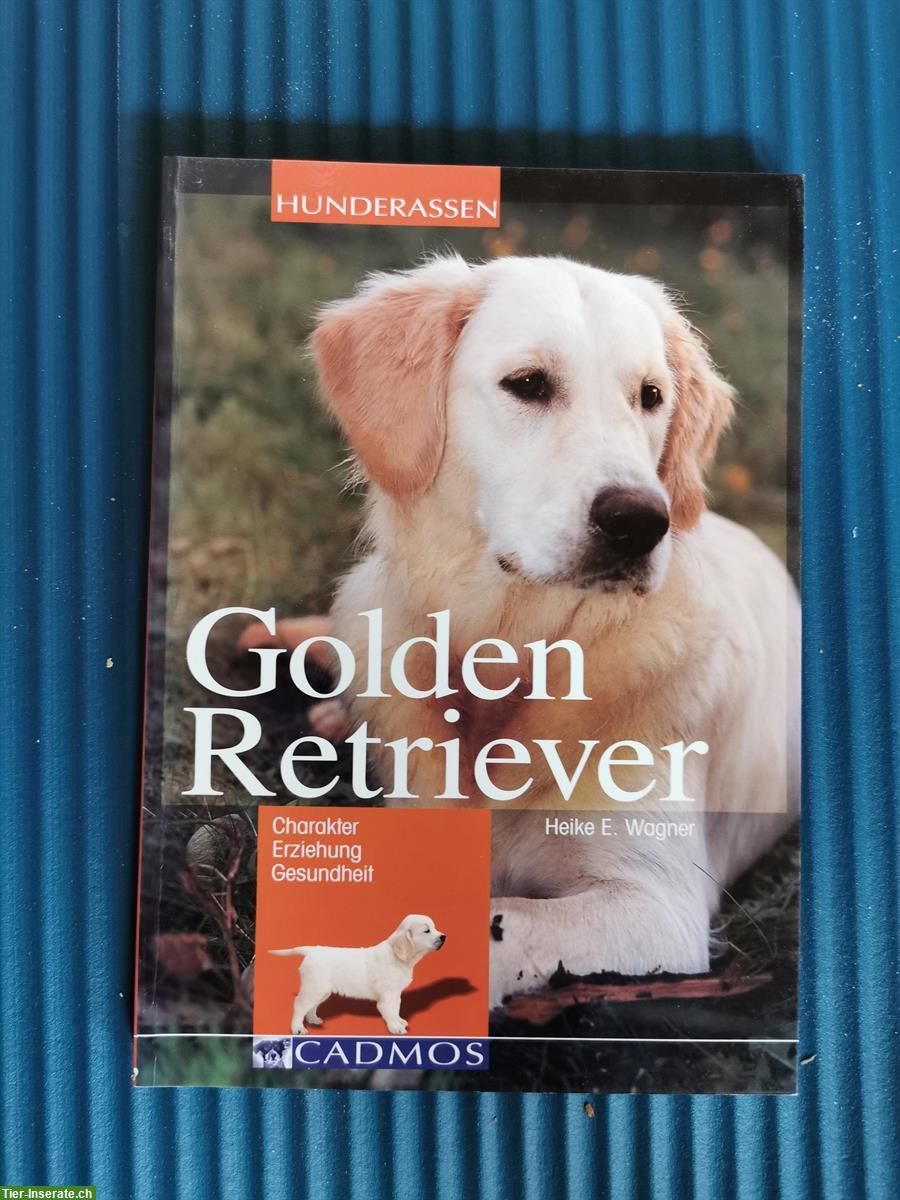 Bild 5: Retriever / Golden Retriever Hundebücher abzugeben
