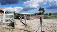 Pferdeboxen zu vermieten in Höri / Bülach, ZH-Unterland