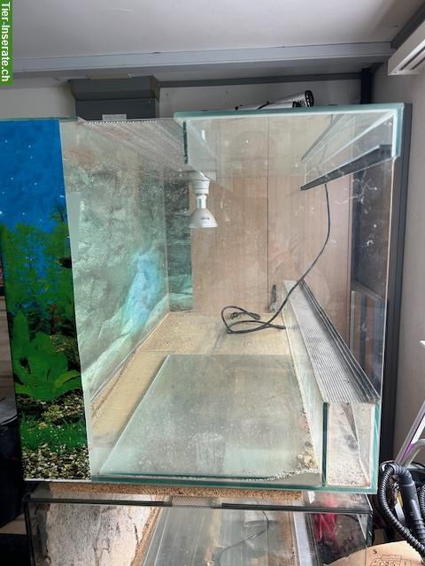 Bild 2: Glas-Terrarium mit Schiebetüren, Belüftung und Lampe