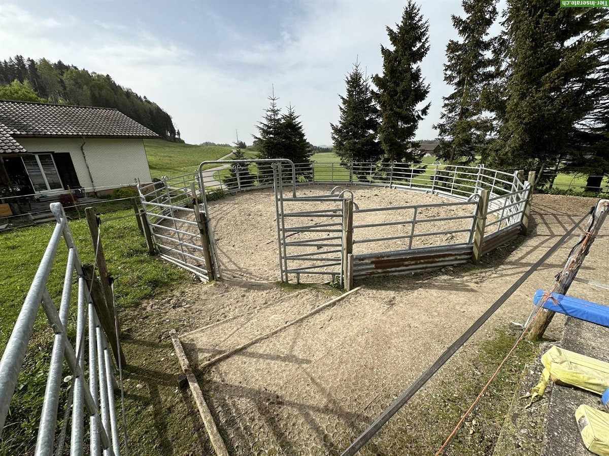 Bild 2: Offenstall hat Platz für 1-2 Kleinpferde, Gähwil SG