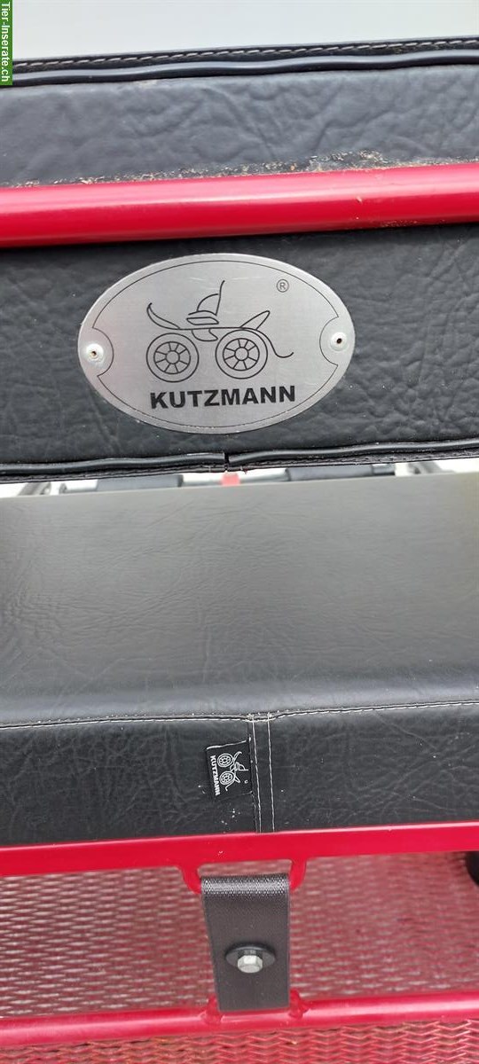Bild 2: Kutzmann Sulky für Shetty zu verkaufen