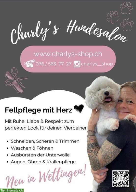 Charlys Hundesalon in Wettingen