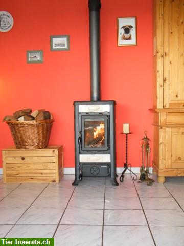 Bild 3: Reetdach Ferienhaus Strandperle in St. Peter-Ording