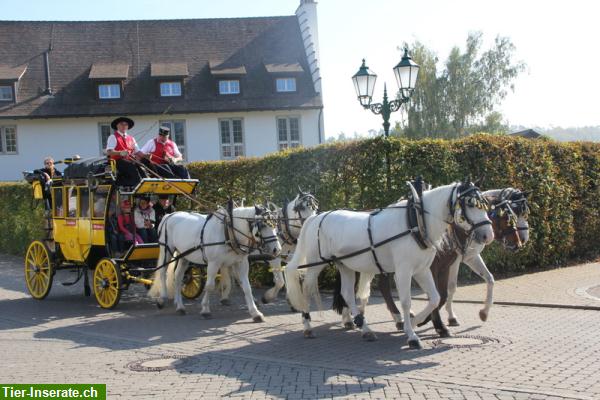 Bild 3: Postkutschenfahrten im Zürcher Unterland