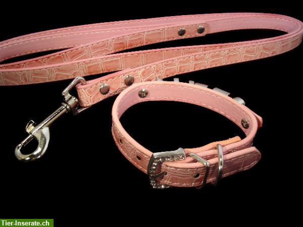 Bild 4: Hundehalsband, Halsband für Hunde mit Namen