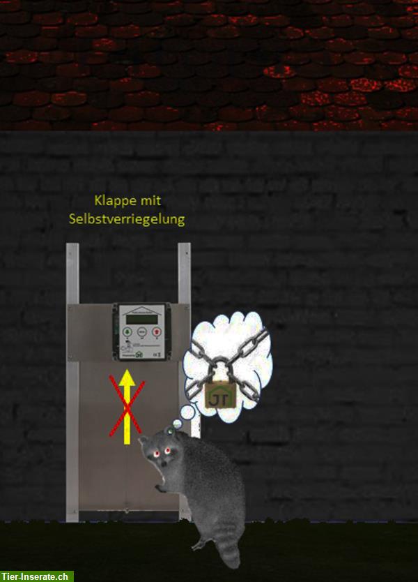 Bild 3: Automatische Hühnerklappen mit Lichtsteuerung direkt vom Hersteller