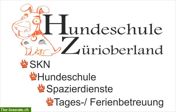 Familiäre Hundepension, Tages-, Ferienplatz in 8608 Bubikon ZH