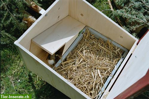 Bild 2: Kleintierstall Sommergehege für Meerschweinchen