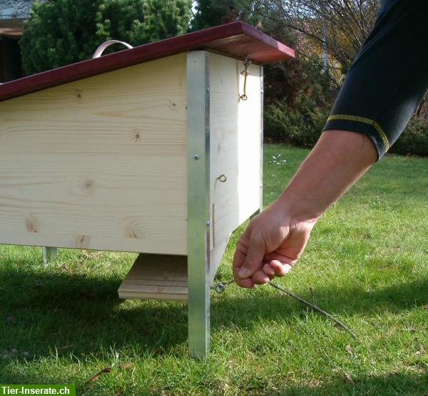 Bild 3: Kleintierstall, Sommer Auslaufgehege für Meerschweinchen