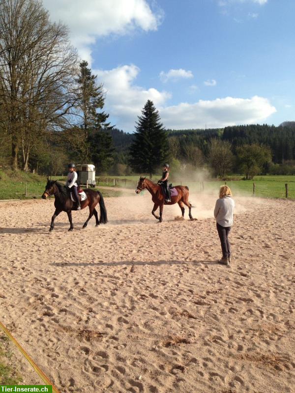 Bild 6: Reiten durch die herrliche Natur der Vogesen, La Grange de Monspey