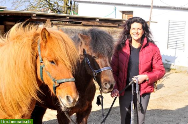 Heilpädagogisches Reiten und angstfreies Reiten