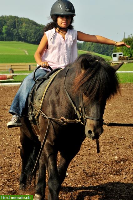 Bild 2: Heilpädagogisches Reiten und angstfreies Reiten