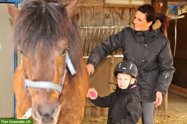 Bild 3: Heilpädagogisches Reiten und angstfreies Reiten