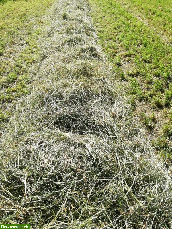 Bild 3: Heu: Pferdeheu - Heurundballen - Ökoheurundballen