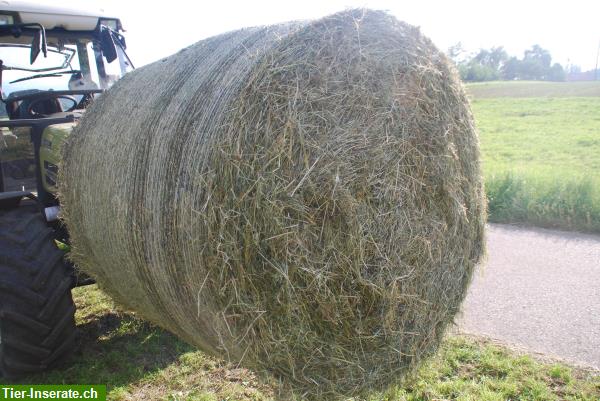 Bild 5: Heu: Pferdeheu - Heurundballen - Ökoheurundballen