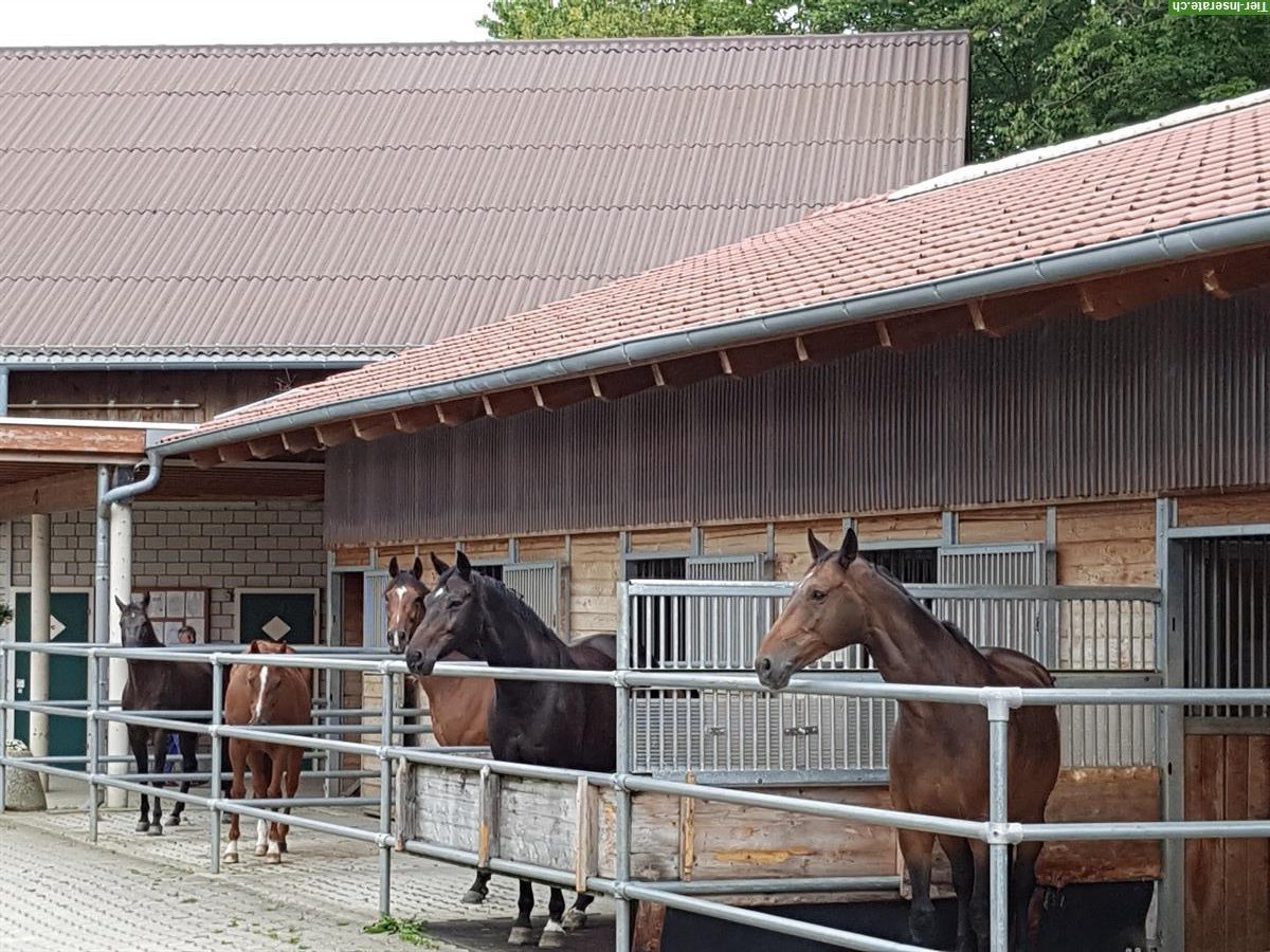 Bild 3: Grosszügige Rundbogenboxe mit direktem Auslauf