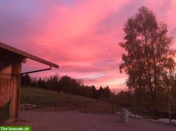 LAG Bewegungsstall im DE-Kl. Wiesental, Raich/Naturpark Südschwarzwald