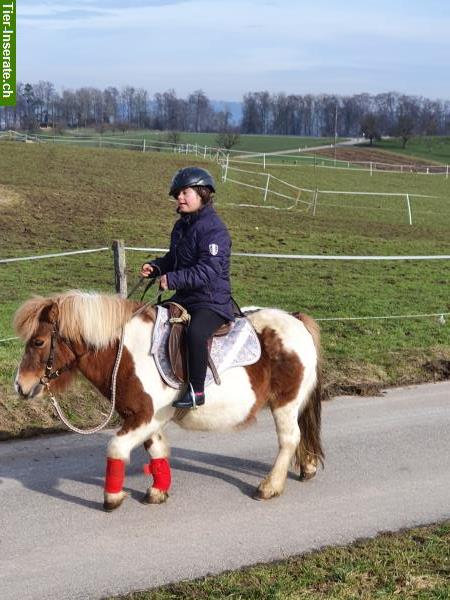 Bild 3: Reitferien auf dem Reit-, Zucht und Ausbildungsstall, 2024