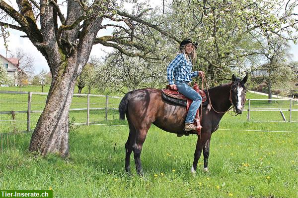 Ausritte & Reitstunden, nähe Aarau, Lenzburg, beim Ausritt reiten lernen