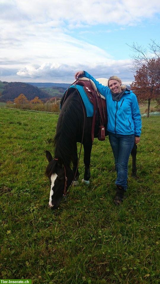 Bild 2: Ausritte & Reitstunden, nähe Aarau, Lenzburg, beim Ausritt reiten lernen