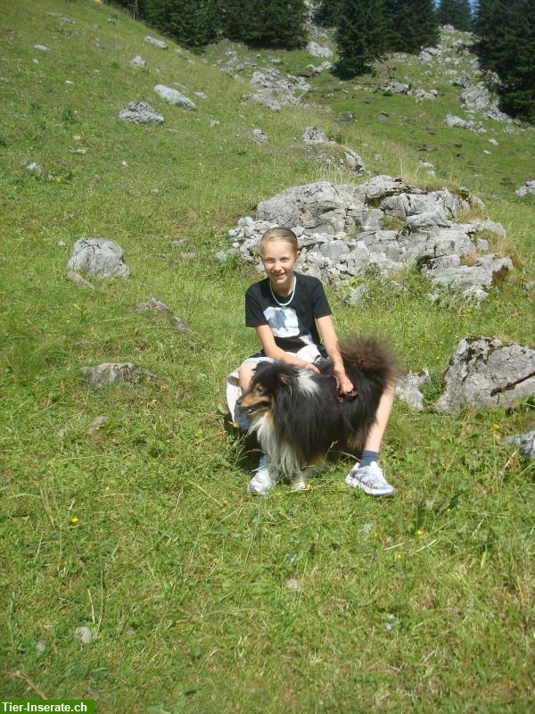 Bild 5: Bieten liebevolle Hundeferien mit Familienanschluss