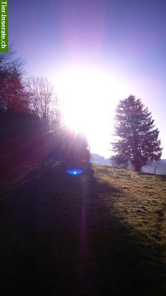 Bild 2: Naturerlebnis auf dem Rücken der Pferde