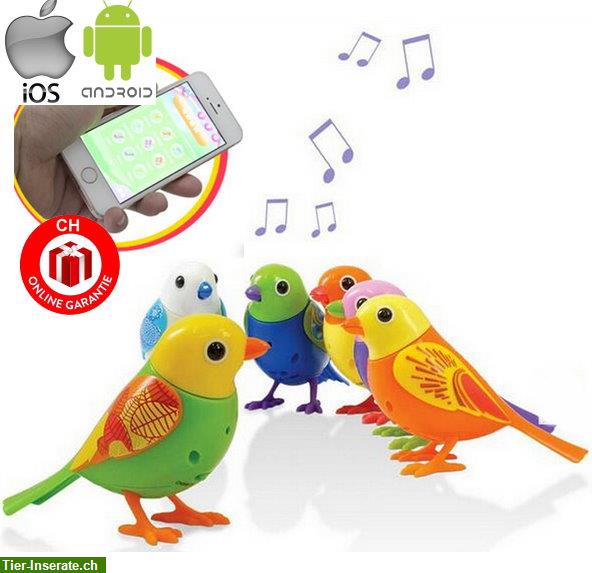 Digi Birds sprechender Vogel Elektrisch Kids Kinder singt pfeift Geschenk NEU