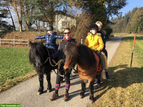 Heilpädagogisches Reiten, HPR, Reittherapie, Ponyreiten, Kinderreiten