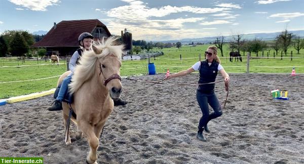 Bild 2: Heilpädagogisches Reiten, HPR, Reittherapie, Ponyreiten, Kinderreiten