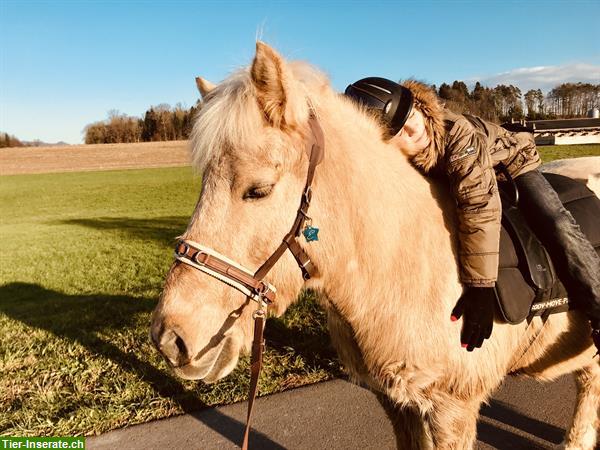 Bild 6: Heilpädagogisches Reiten, HPR, Reittherapie, Ponyreiten, Kinderreiten