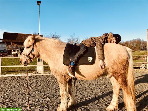 Bild 7: Heilpädagogisches Reiten, HPR, Reittherapie, Ponyreiten, Kinderreiten