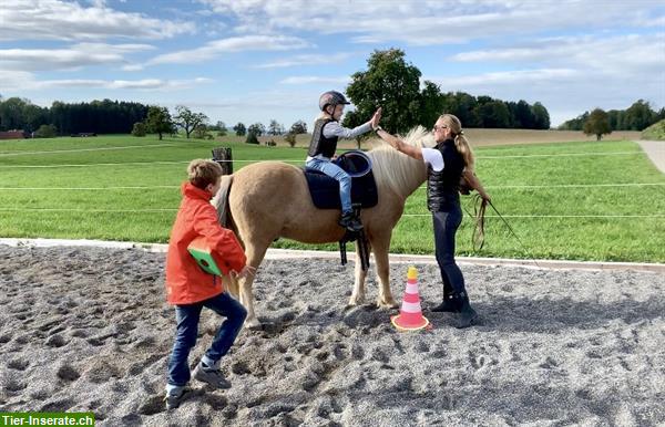 Bild 8: Heilpädagogisches Reiten, HPR, Reittherapie, Ponyreiten, Kinderreiten