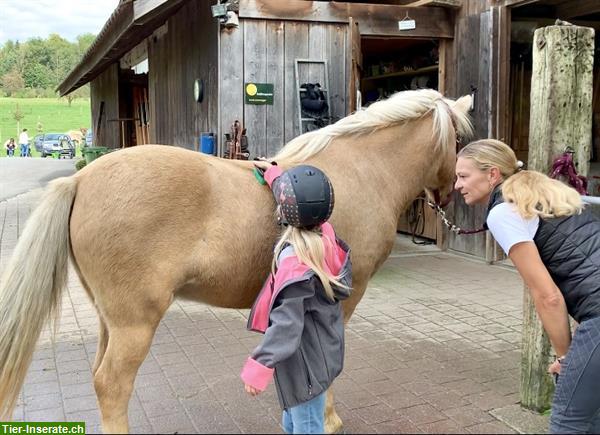 Bild 9: Heilpädagogisches Reiten, HPR, Reittherapie, Ponyreiten, Kinderreiten