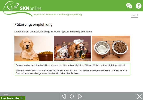 Bild 4: SKNonline: Die online Hundeschule für den Sachkundenachweis Hund (SKN)