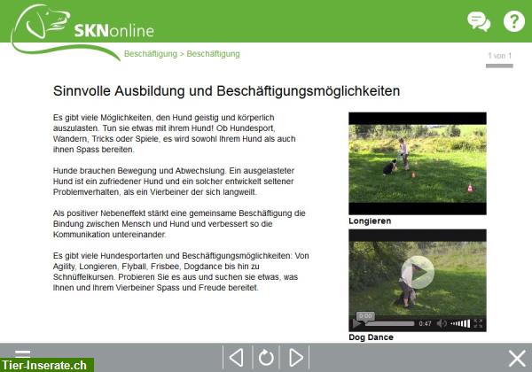 Bild 6: SKNonline: Die online Hundeschule für den Sachkundenachweis Hund (SKN)