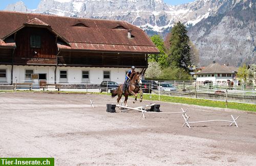 Bild 5: Pferdesportanlage Bünte Flums SG