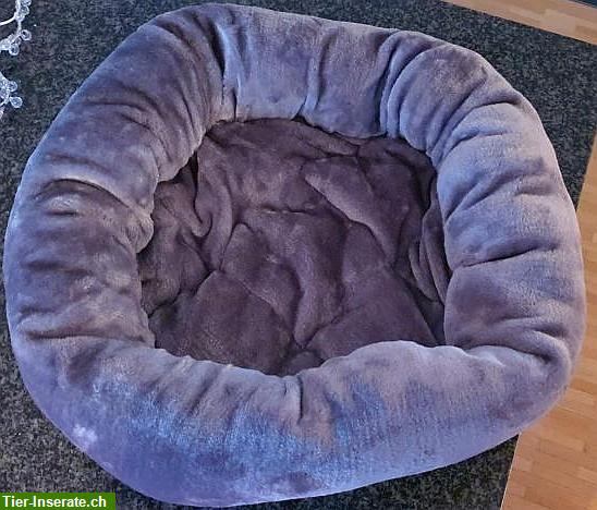 Bild 3: NEU: Katzen Liegebett für die Wand mit Kissen zu verkaufen