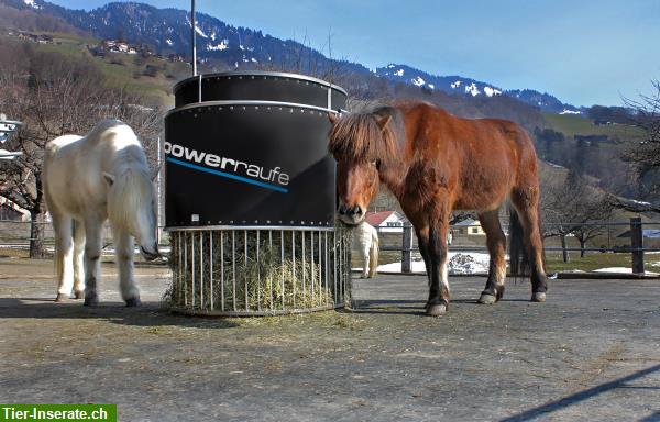 Zeitgesteuerte Heuraufe *Powerraufe* ca. 15kg Heu opt. mit H2O